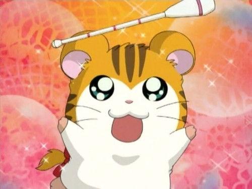 Hamtaro Season 1 Episode 13 - Let's Dance, Sandy!