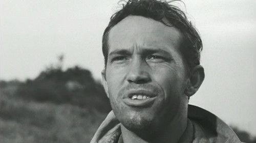 Wanted: Dead or Alive Season 1 Episode 14 - Die by the Gun