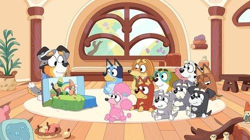 Bluey Season 1 Episode 17 - Calypso
