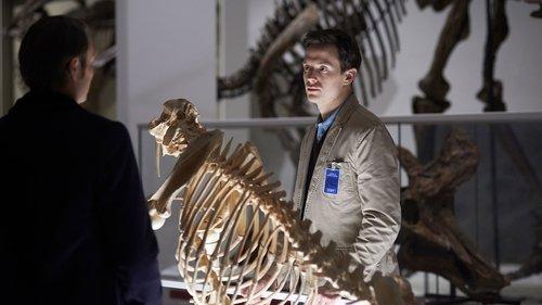 undefined Season 2 Episode 9 - Shiizakana