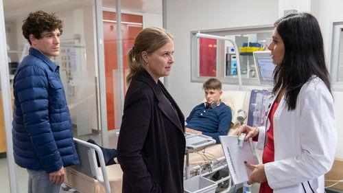 Die Chefin Season 12 Episode 4 - Episode 4