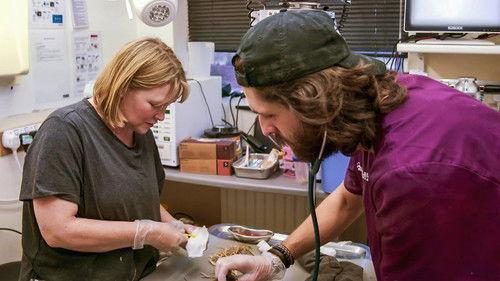 Joanna Page's Wild Life Season 1 Episode 6 - Episode 6