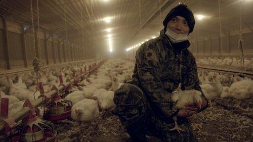 Rotten Season 1 Episode 4 - Big Bird