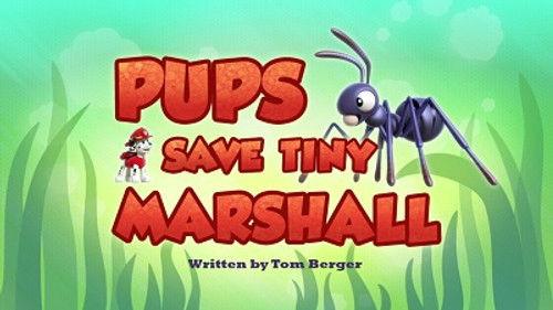 PAW Patrol Season 4 Episode 19 - Pups Save Tiny Marshall