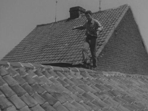 Axel Nort Season 1 Episode 13 - Episode 13