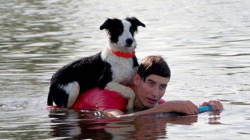 Muster Dogs Season 3 Episode 3 - Episode 3