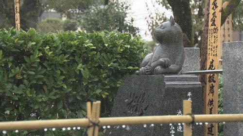 Document 72 Hours Season 11 Episode 24 - At the Pet Cemetery Where Animals Rest in Peace