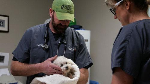 Heartland Docs, DVM Season 2 Episode 8 - All in the Farm-ily