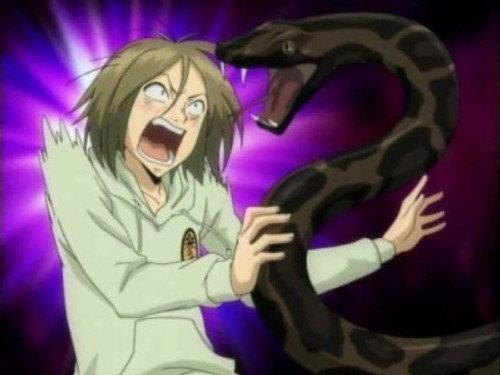 REBORN! Season 3 Episode 69 - Crazy Criminal Brother Trio