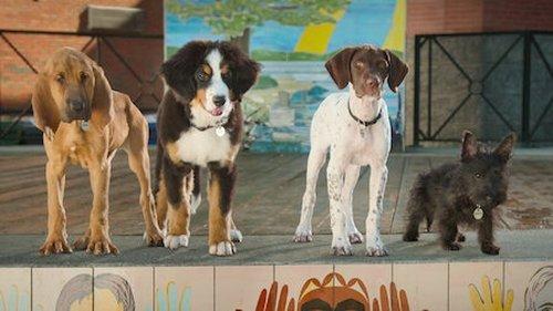 Super PupZ Season 1 Episode 1 - Pilot