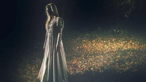 Paranormal Caught on Camera Season 2 Episode 14 - Roadside Ghost Bride and More