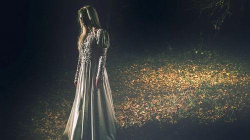 Paranormal Caught on Camera Season 2 Episode 14 - Roadside Ghost Bride and More