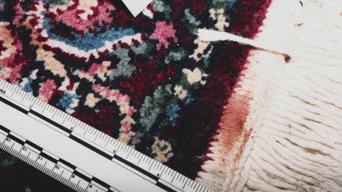 Buried In The Backyard Season 1 Episode 7 - Killer By The Coast