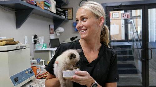 Heartland Docs, DVM Season 4 Episode 1 - Lord of the Wings