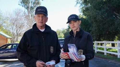 NCIS Season 17 Episode 17 - In a Nutshell
