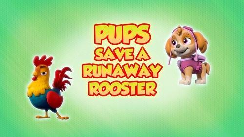 PAW Patrol Season 8 Episode 1 - Pups Save a Runaway Rooster