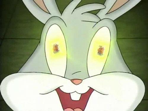 Baby Looney Tunes Season 2 Episode 1 - These Little Piggies Went to Market