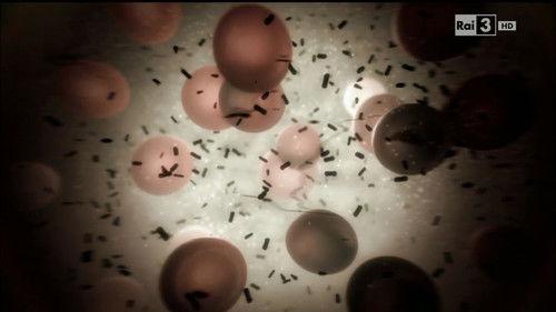 Ulisse - Il piacere della scoperta Season 15 Episode 3 - Nemici invisibili (seconda versione)