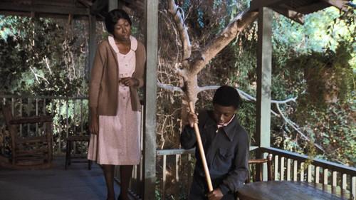 The Waltons Season 8 Episode 16 - The Prodigals