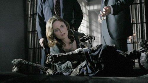 Bones Season 2 Episode 12 - The Man in the Cell