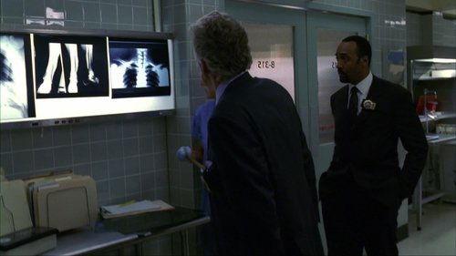 Law & Order Season 16 Episode 2 - Flaw (II)