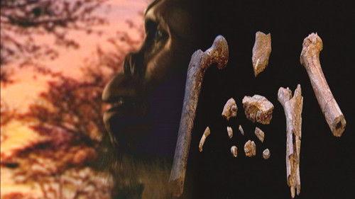 Secrets of the Dead Season 3 Episode 1 - Search for the First Human