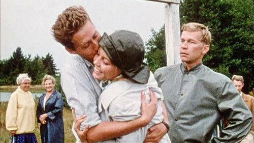 Life on Seacrow Island Season 1 Episode 4 - Midsummer at Saltkråkan