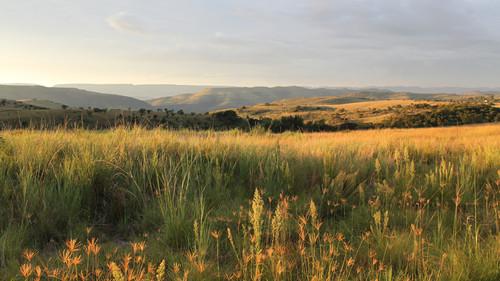 undefined Season 43 Episode 1 - Dawn of Humanity