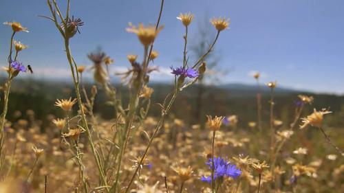 A Killer's Mistake Season 2 Episode 3 - Douglas Perry