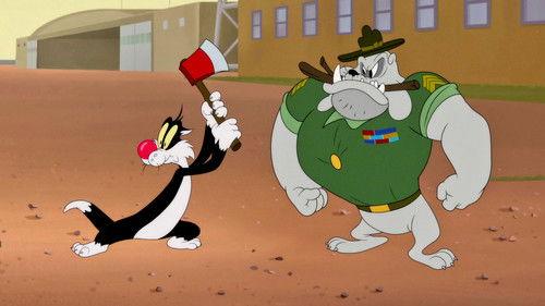 Looney Tunes Cartoons Season 2 Episode 1 - Red White and Bruised