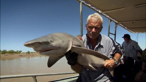 River Monsters Season 4 Episode 7 - Phantom Assassin