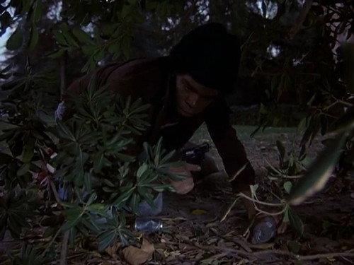 Quincy, M.E. Season 7 Episode 10 - Guns Don't Die