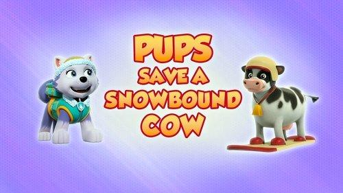 PAW Patrol Season 8 Episode 2 - Pups Save a Snowbound Cow