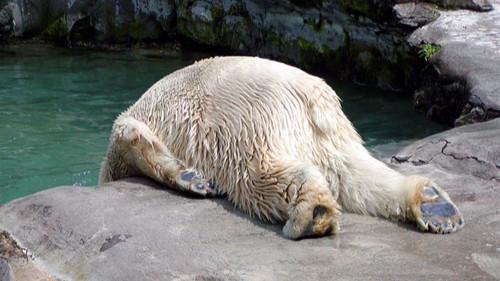 Russell Howard's Good News Season 10 Episode 6 - Episode 6