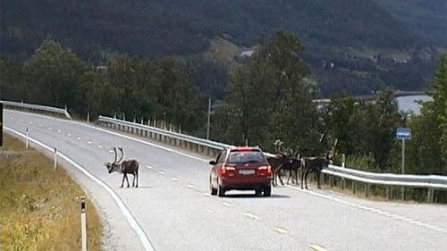 Cestománie Season 4 Episode 14 - Episode 14