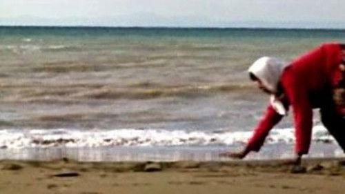 NOVA Season 33 Episode 16 - Dimming the Sun