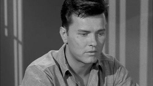 Perry Mason Season 6 Episode 5 - The Case of the Hateful Hero