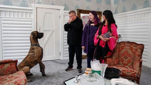 Suomen huutokauppakeisari Season 8 Episode 1 - Episode 1