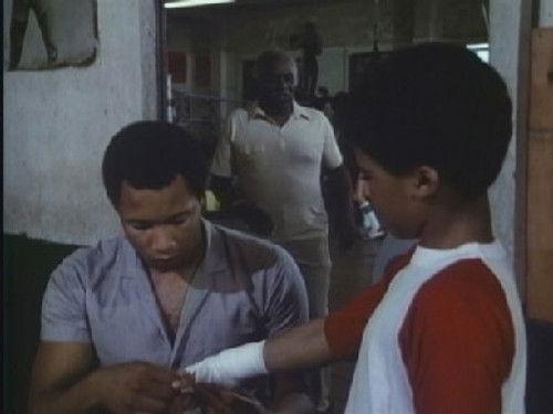 undefined Season 1 Episode 4 - The Return of the Masked Rider