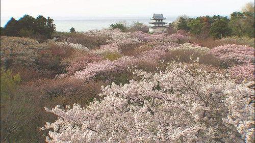 Wild Hokkaido! Season 2 Episode 13 - Matsumae