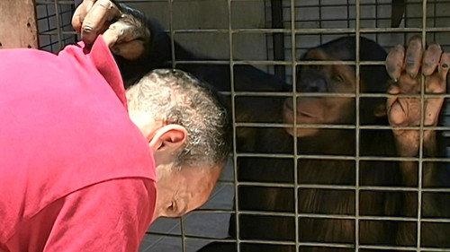 Monkey Business Season 9 Episode 5 - Episode 5