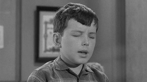 Leave It to Beaver Season 3 Episode 16 - Pet Fair