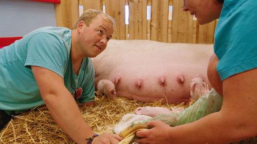 Dyrepasserne Season 11 Episode 10 - Episode 10