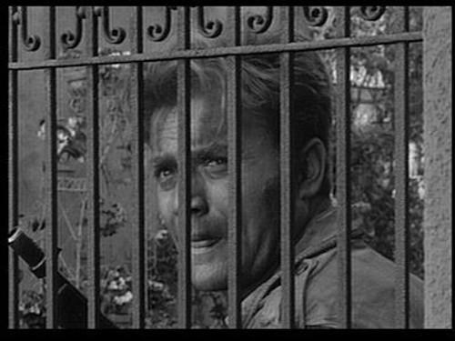 Combat! Season 1 Episode 26 - Battle of the Roses