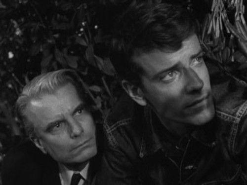 undefined Season 1 Episode 21 - The Children of Spider County