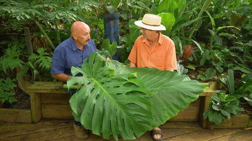 Gardening Australia Season 30 Episode 17 - Episode 17