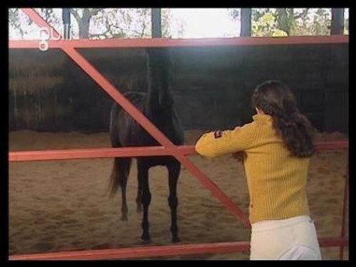 The Saddle Club Season 2 Episode 19 - Foster Horse (1)