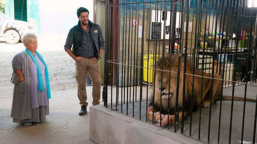 Joséphine, Guardian Angel Season 18 Episode 4 - Episode 4