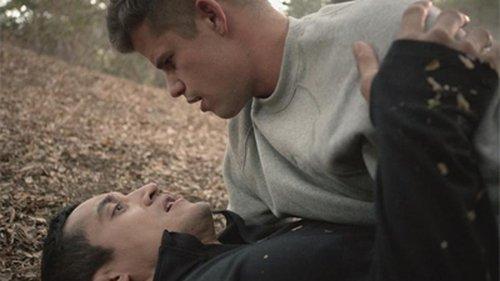 Teen Wolf Season 3 Episode 19 - Letharia Vulpina