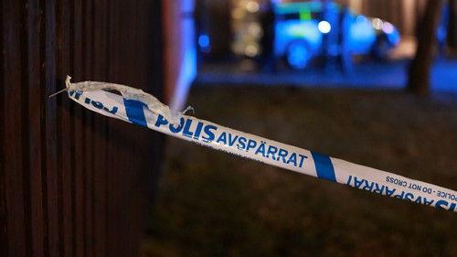 Efterlyst Season 61 Episode 4 - Episode 4